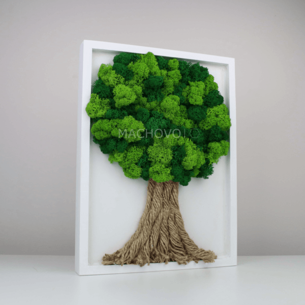 Machový strom- zmiešaná zelená