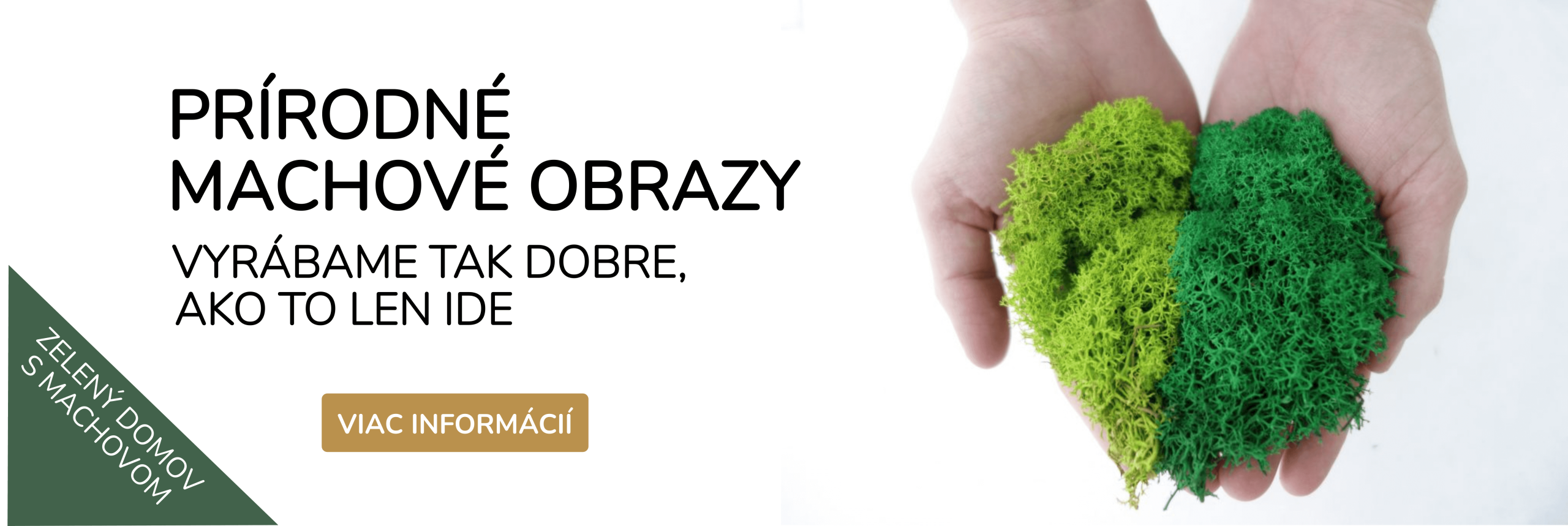 Machovo