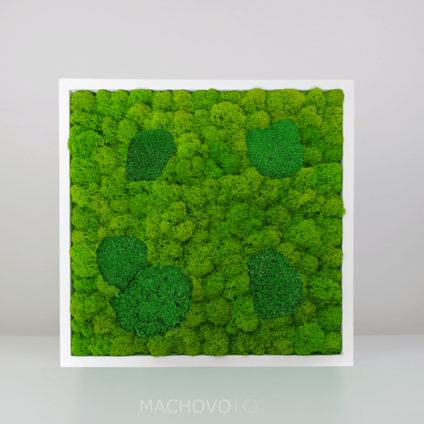 Machový obraz - štvorec -  kopcovitý s  lišajníkom