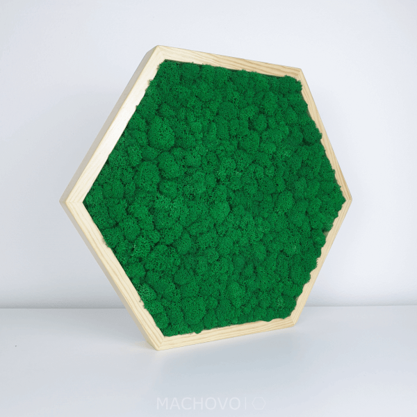 Machový obraz – šesťuholník borovica, svetlý mach 40 cm