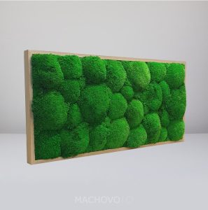 Machový obraz - obdĺžnik - kopcovitý zelený rám dub, 60 cm x 40 cm