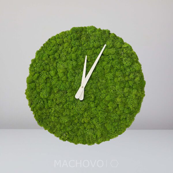 Machové hodiny bez cifier - lišajník tmavý - Image 3