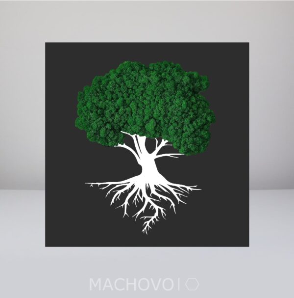 Machový obraz - strom s koreňmi biely s podkladom - Image 5