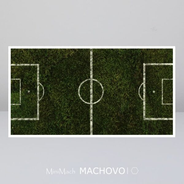 Machový obraz - futbalové ihrisko
