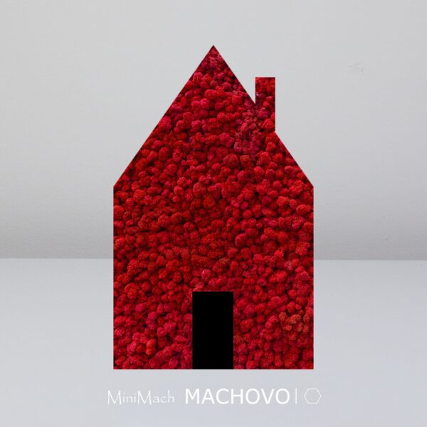 Machový obraz - domček červený-min