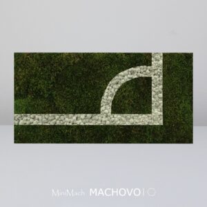 Machový obraz - futbalový roh-min