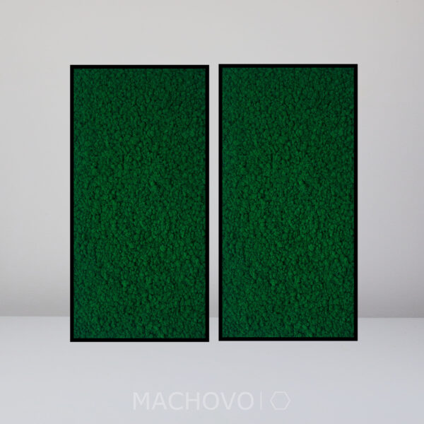 Machová zostava - tmavý lišajník