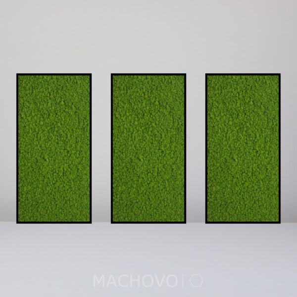 Machová zostava - obdĺžniková trojica - lišajník