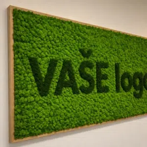 Detail svetlozeleného lišajníkového obrazu s tmavozeleným nápisom „VAŠE logo“ v drevenom ráme na stene v interiéri.