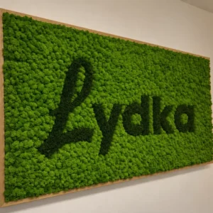 Detail machového obrazu s tmavozeleným logom Lydka na svetlozelenom lišajníku v dubovom ráme, pohľad zboku.