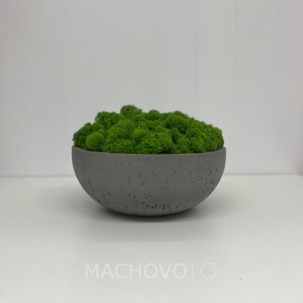 Machová miska XL- svetlý lišajník - Image 3