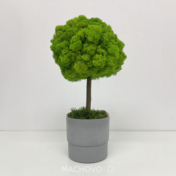 Machový strom 3D - šedý kvetináč