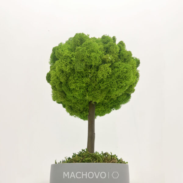 Machový strom 3D - šedý kvetináč - Image 3