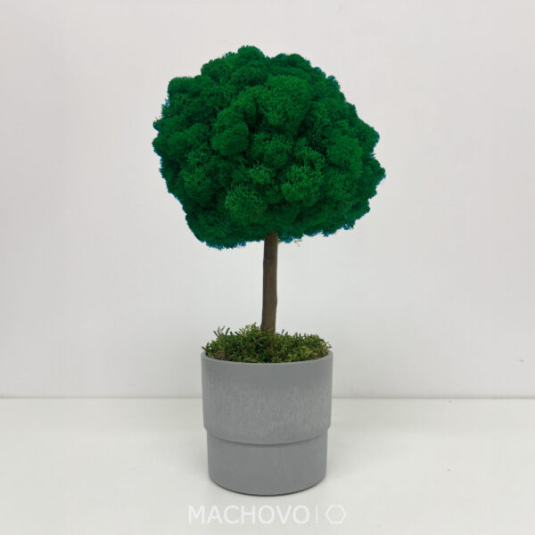 Machový strom 3D - šedý kvetináč - Image 7