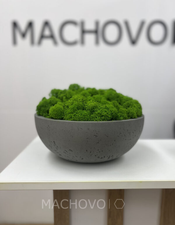 Machová miska XL- svetlý lišajník - Image 2