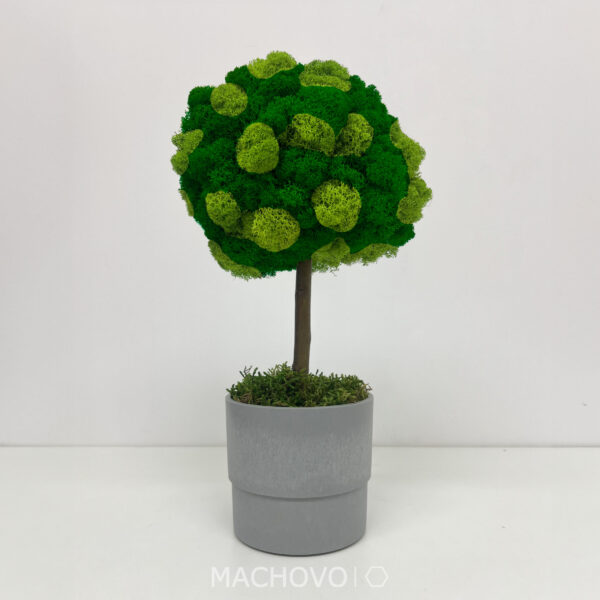 Machový strom 3D - šedý kvetináč - Image 6