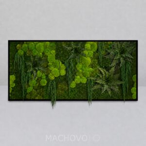 Machový obraz - obdĺžnik - Amarora